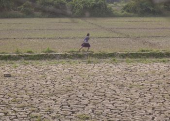 Soil pollution ‘jeopardizing’ life on Earth, UN agency warns on World Day