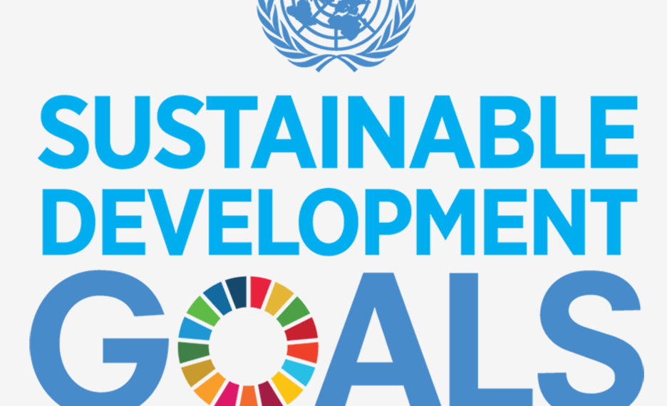 Op-Ed The time is now to realise Mandela’s vision – and SDG’s provide the plan