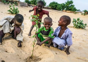 Preparing Africa for ravages of climate change ‘cannot be an afterthought’ – COP24