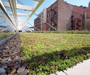 Green Roof Guide for FMs
