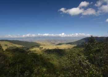 Restoring Rio de Janeiro’s Forests Could Save $79 Million in Water Treatment Costs