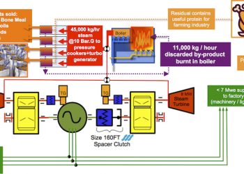 Biomass Market Harnesses Combined Heat and Power