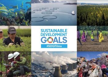 Businesses Take Action on the SDGs – Documentary Series