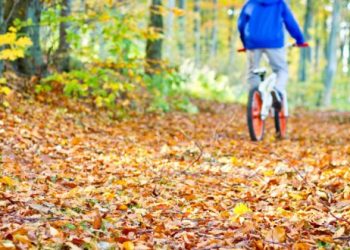 Make This Year’s Autumn Clean-Up More Eco-Friendly