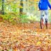 Make This Year’s Autumn Clean-Up More Eco-Friendly