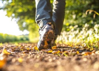 Nature Prescriptions Are a Growing Trend for Therapy