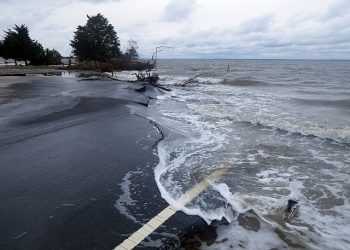 7 Environment and Development Stories to Watch in 2019