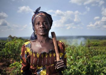 UN rights chief welcomes new text to protect rights of peasants and other rural workers