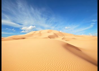 Sustainable building materials can be better alternatives to conventional concrete