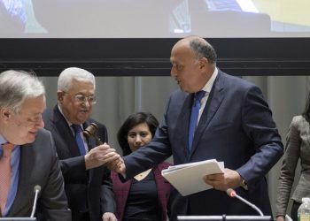 ‘Historic’ moment: Palestine takes reins of UN coalition of developing countries
