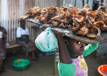 FROM THE FIELD: Liberia boosts efforts to guard against rising seas