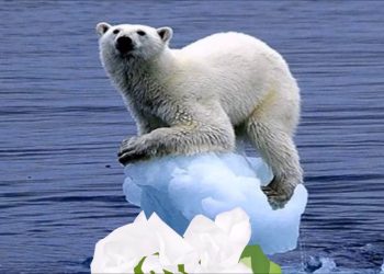 GO GREEN! An environment friendly video.