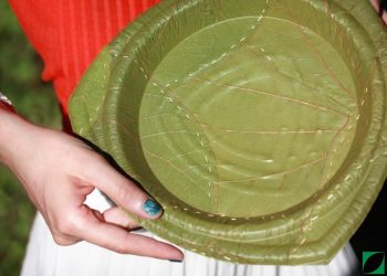 5 INCREDIBLE Eco-Friendly Life Changing Inventions