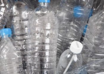 What Can We Do to Stop Microplastics From Infiltrating Our Environment?