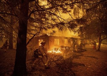 PG&E Likely Seeking Bankruptcy by Jan. 29