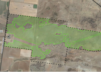 Construction Set to Begin on Largest Australian Solar Power Plant