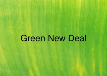 New York Sets Out to Beat California; Mandates 100 Percent Renewables by 2040