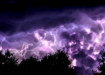 PG&E’s Woes Have Spread to New York’s ConEd, 3,000 Miles Away