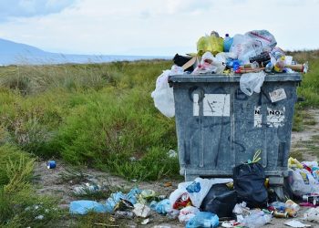 Waste To Energy: The Next Step After Banning Single-Use Plastics