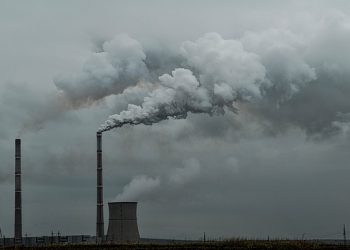 Xcel Becomes First Big U.S. Utility to Swear Off Greenhouse Gas