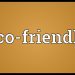 Eco-friendly Meaning