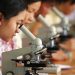 More women and girls needed in the sciences to solve world’s biggest challenges