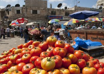 ‘Shared responsibility’ to stop 420,000 needless deaths from tainted food each year, UN, world leaders warn