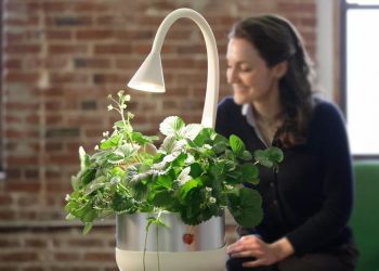 5 Eco Friendly Inventions You Need to See