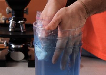 How to Demonstrate Insulation Principles | Science Projects