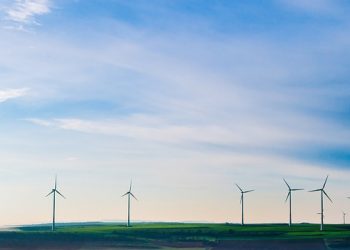 China’s Wind Industry Installs More than 20 GW of Capacity in 2018 and Curtailment Decreases