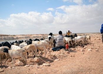 Climate change recognized as ‘threat multiplier’, UN Security Council debates its impact on peace