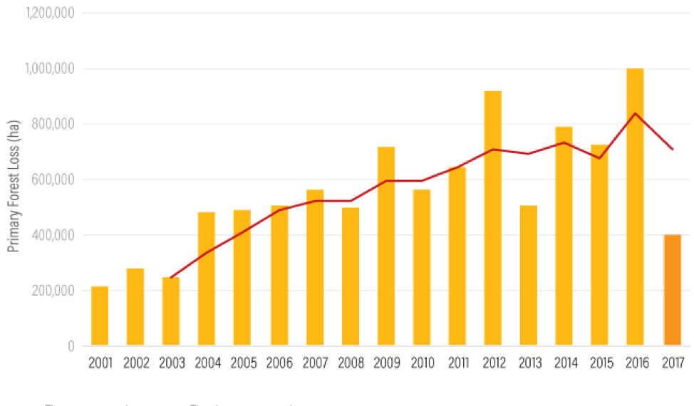 Indonesia Reduces Deforestation, Norway to Pay Up