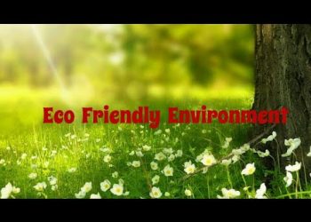 "Eco Friendly Environment"