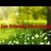 "Eco Friendly Environment"