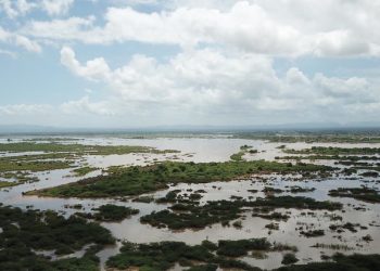 Tropical Cyclone Idai displaces 1.5 million across Mozambique and Malawi, as UN ramps up response