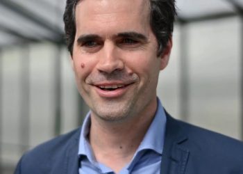 Mushrooms used to create sustainable building material