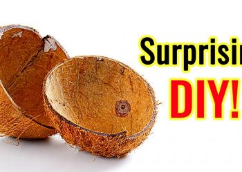How to Resue Waste Coconut Shell | Eco-Friendly Organic Coconut Shell Craft | Easy Best out of Waste