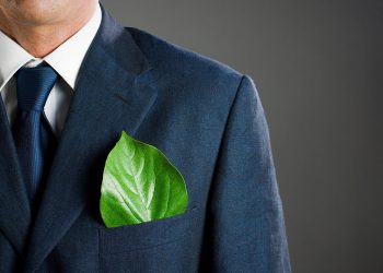 How to Make Your Business Eco-Friendly | Green Living
