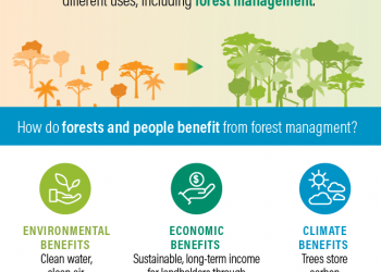 3 Ways Well-Intentioned Forest Laws and Their Enforcement Can Block Restoration