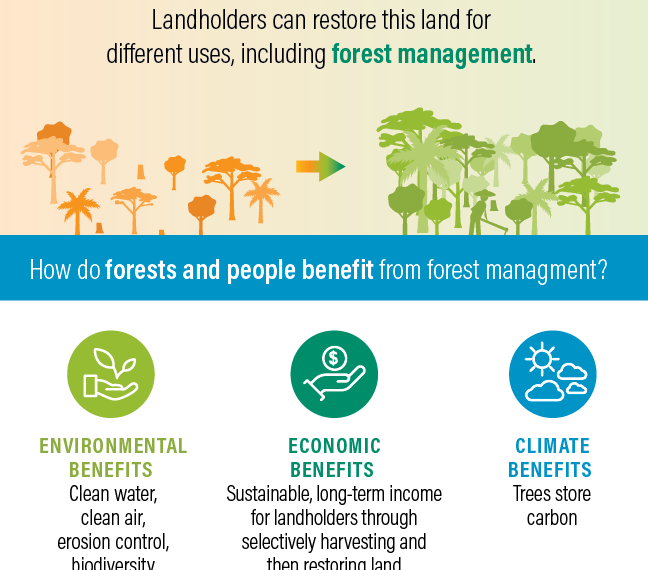 3 Ways Well-Intentioned Forest Laws and Their Enforcement Can Block Restoration
