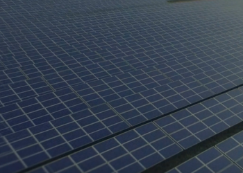 Hanwha Q CELLs files patent infringement case against JinkoSolar, LONGi, and REC Group