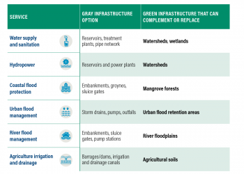 Debunking Myths: 5 Things to Know About Green Infrastructure