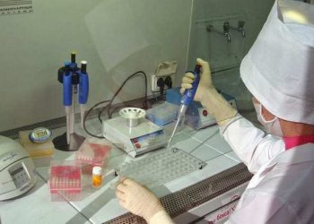 Humanity ‘at a crossroads’ as damage to planet poses growing risk to health, UN environment agency warns