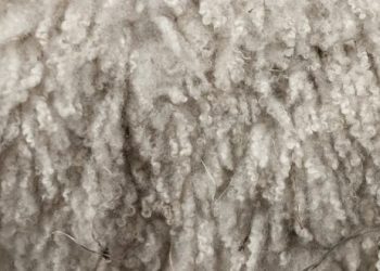 Eco-friendly Insulation Alternatives