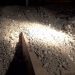 Vermiculite Insulation Containing Asbestos (Dangers And Warnings)