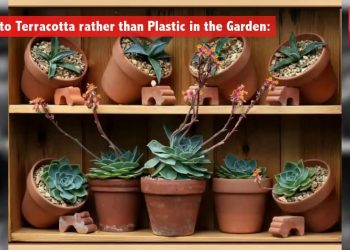 How to make your home environment-friendly