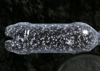 Biodegradable Plastics (Eco Friendly Plastics) : Greenplastic.in