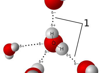 MAN Energy Solutions latest power generator to consider hydrogen option