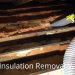 Remove Attic Insulation – Best Way