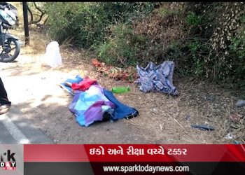 Aamod : Eco ane Riksha Vachhe Takkar 2019 | Spark Today News Vadodara